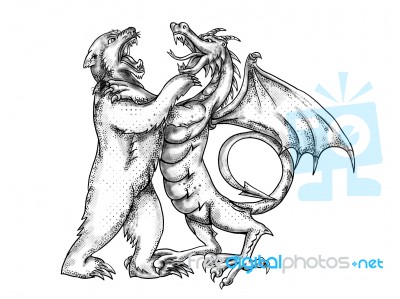 Grizzly Bear Fighting  Chinese Dragon Tattoo Stock Image