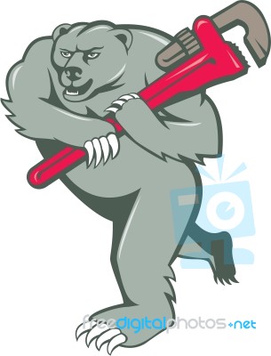 Grizzly Bear Plumber Monkey Wrench Cartoon Stock Image