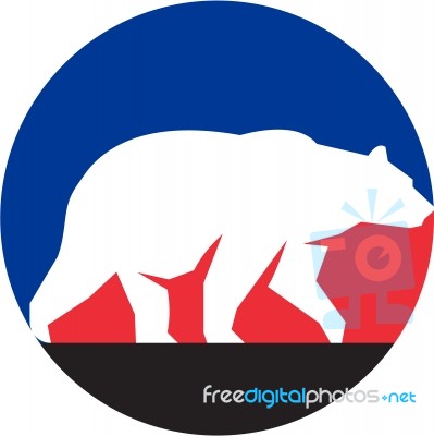 Grizzly Bear Walking Silhouette Circle Retro Stock Image