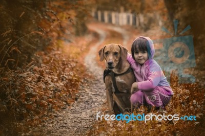 Grl And A Dog In The Park Stock Photo