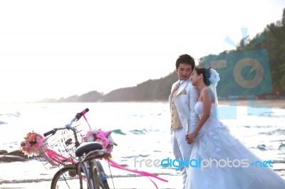 Groom And Bride Standing On Sea Beach Beside Old Classic Bicycle… Stock Photo