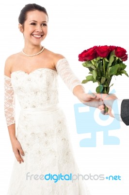 Groom Presenting Beautiful Bride Love Roses Stock Photo