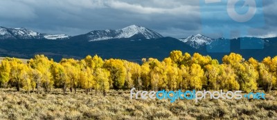 Gros Ventre River Valley Stock Photo