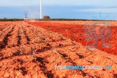 Ground For Planting Cassava Stock Photo