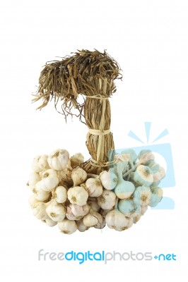 Group Of Dry Garlic With Pole On White Background Stock Photo