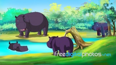 Group Of Hippopotamuses By The River Stock Image