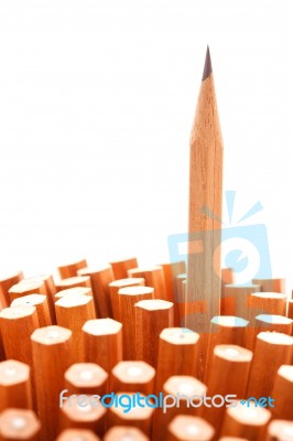 Group Of Pencils Stock Photo