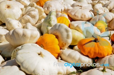 Group Of Pumpkins Stock Photo