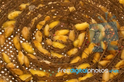 Group Of Silk Worm Cocoons Nests Stock Photo