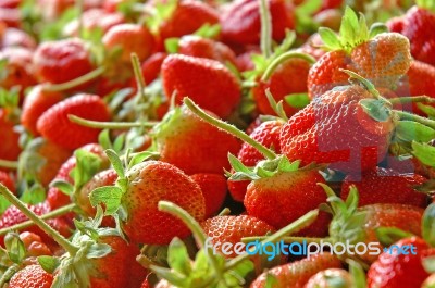 Group Of Strawberries Stock Photo