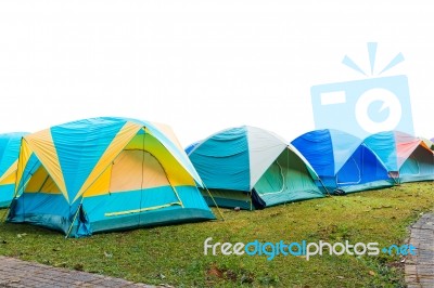 Group Of Tourist Tent Isolated On White Stock Photo