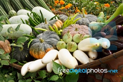 Group Of Tropical Vegetables Stock Photo