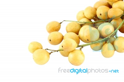 Group Of Yellow Langsat Focus On Tail On White Background Stock Photo