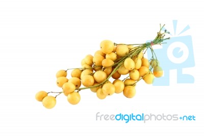 Group Of Yellow Langsat On White Background Stock Photo