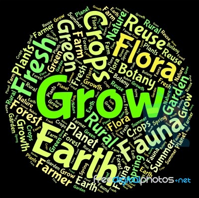 Grow Word Meaning Farming Cultivate And Sowing Stock Image