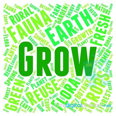 Grow Words Meaning Sow And Growth Stock Image