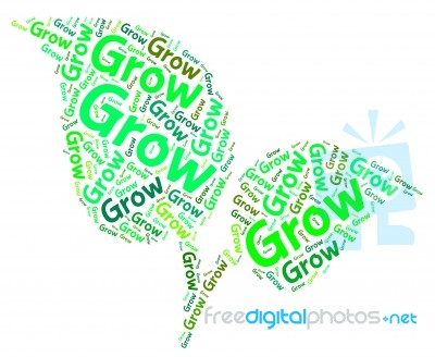 Grow Words Means Sows Cultivate And Text Stock Image