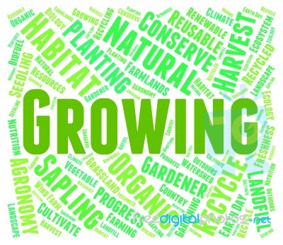 Growing Word Means Sow Cultivate And Farm Stock Image