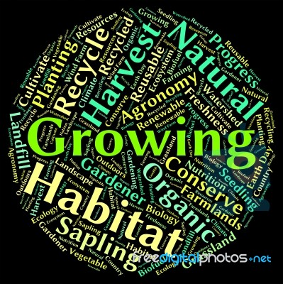 Growing Word Showing Text Farms And Sowing Stock Image