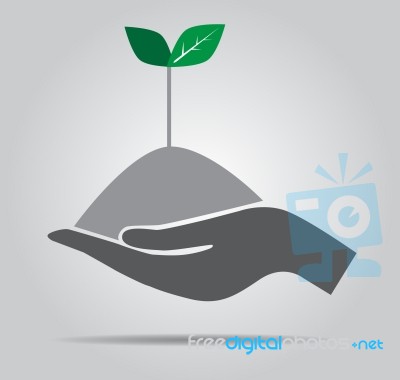 Growth Concept Tree In Hand  Icon Stock Image