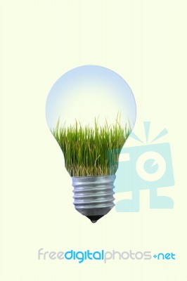 Growth Of Your Idea In Electric Bulb Stock Photo