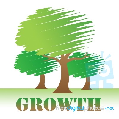 Growth Trees Means Natural Improvement Or Reforestation Stock Image