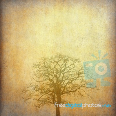 Grunge Paper With Tree Stock Image