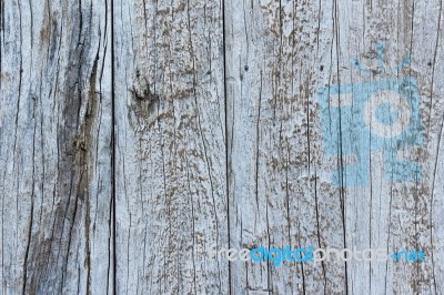 Grungy Wooden Planks Stock Photo