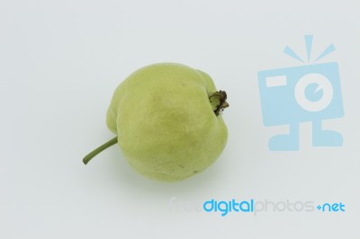 Guava Stock Photo