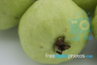 Guava Stock Photo