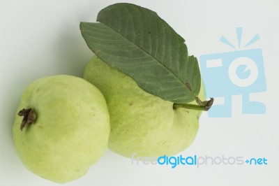 Guava Stock Photo