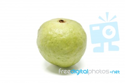 Guava Fruit Stock Photo