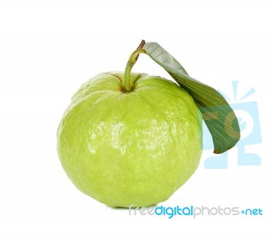 Guava Fruit Isolated On The White Background Stock Photo