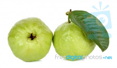 Guava Fruit Isolated On The White Background Stock Photo