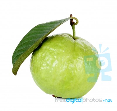 Guava Fruit Isolated On The White Background Stock Photo