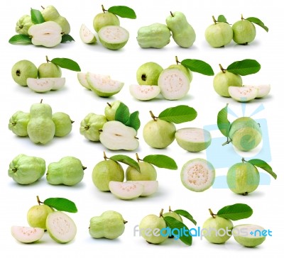 Guava  On White Background Stock Photo