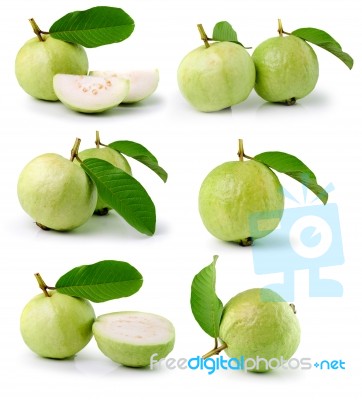 Guava  On White Background Stock Photo