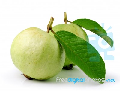 Guava (tropical Fruit) On White Background Stock Photo