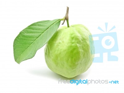 Guava With Leaf Stock Photo