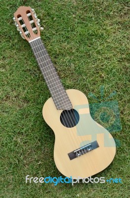 Guitar LeLe On Grass Stock Photo