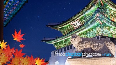 Gyeongbokgung Palace And Autumn Rea Maple Leaves At Night In Seoul,south Korea Stock Photo