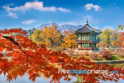 Gyeongbokgung Palace In Autumn,south Korea Stock Photo