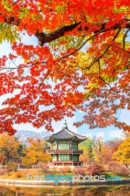 Gyeongbokgung Palace In Autumn,south Korea Stock Photo