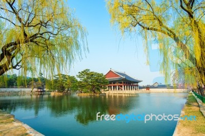 Gyeongbokgung Palace In Spring,korea Stock Photo