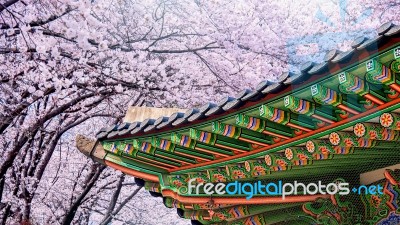 Gyeongbokgung Palace With Cherry Blossom In Spring,korea Stock Photo