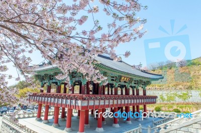 Gyeongbokgung Palace With Cherry Blossom In Spring,korea Stock Photo