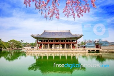 Gyeongbokgung Palace With Cherry Blossom In Spring,south Korea Stock Photo