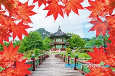 Gyeongbokgung Palace With Colorful Autumn Leaves In Seoul, South Korea Stock Photo