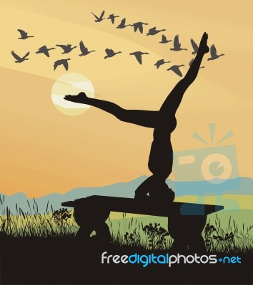 Gymnastics In Nature On The Bench Stock Image