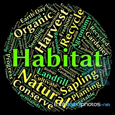 Habitat Word Shows Animal Text And Dwelling Stock Image